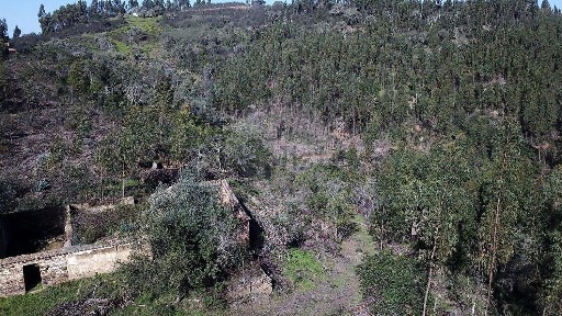 Quinta à venda em São Martinho das Amoreiras