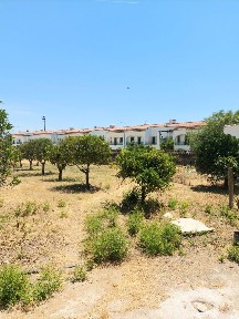 Vidigueira, Beja