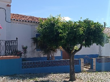 Vidigueira, Beja