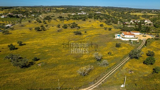 Ourique, Beja