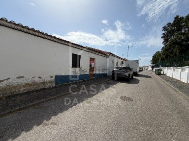 Beja