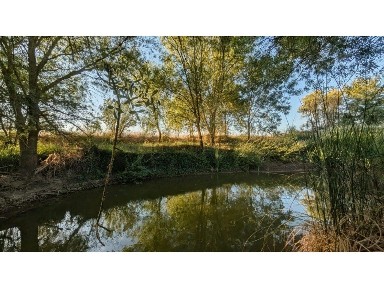 Quinta à venda em Ferreira do Alentejo