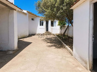 Pedrógão, Rua da Amendoeirinha
