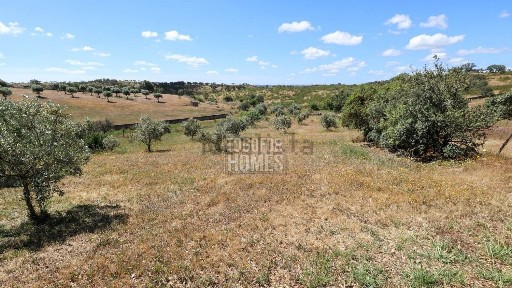 Ourique, Beja