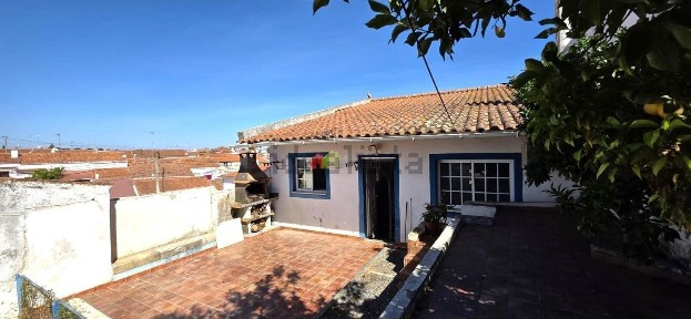 Beja