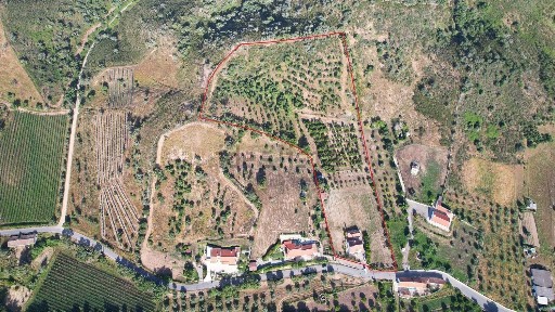 Odemira, Beja