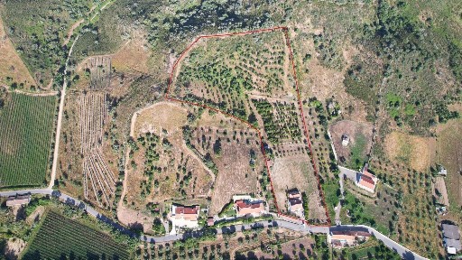 Quinta à venda em Vale de Santiago