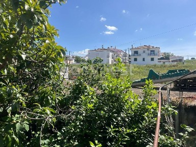 Beja