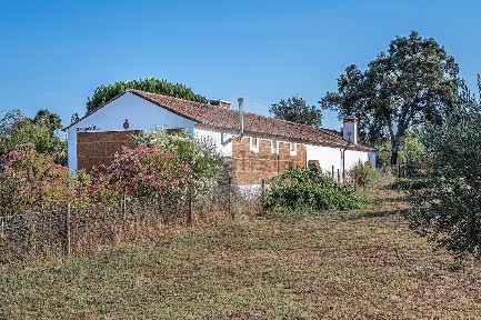 Quinta à venda na Rua dos Caeiros