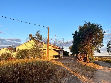 Monte alentejano à venda na Rua do Calvário