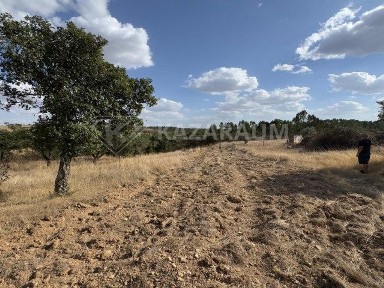 Ourique, Beja