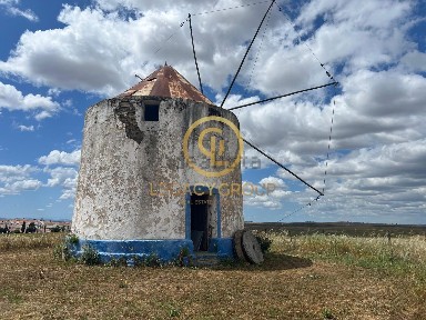 Panoias e Conceição, Horta do Monte Novo