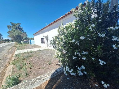 Serpa, Beja
