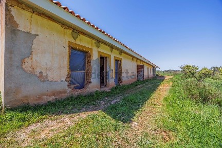 Boavista dos pinheiros