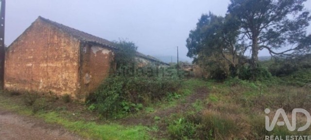 Odemira, Beja