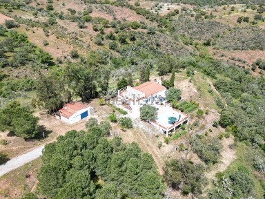 Vila Verde de Ficalho, Figueira
