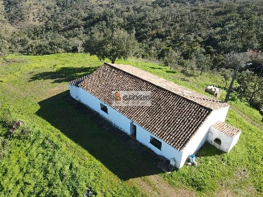Almodôvar, Beja