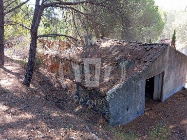 Quinta à venda em São Teotónio