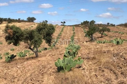 Mértola, Beja