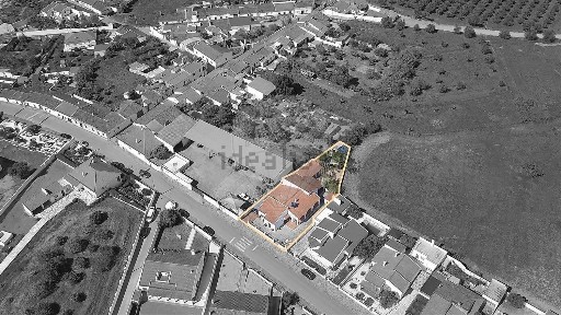 Vila de Frades, Rua Professor Cristo Fragoso
