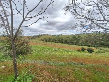 Serpa, Beja