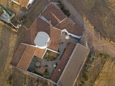 Beja