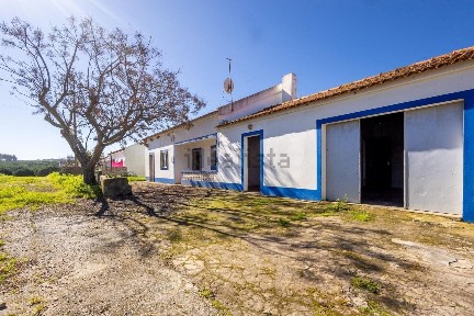 São Teotónio, M502-1