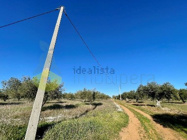 Moura, Beja