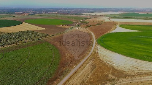 Serpa, Beja
