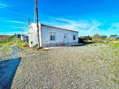 Beja