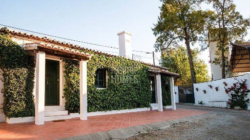 Moura, Beja