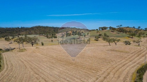 Quinta à venda em Relíquias