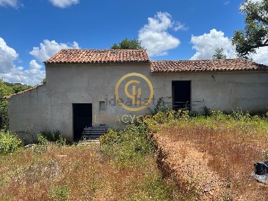 Boavista dos Pinheiros, Caneja, Boa Vista Dos Pinheiros