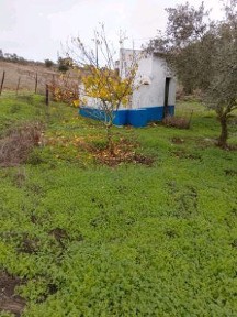 Serpa, Urb. Vale Mortos, Vale Mortos s/n