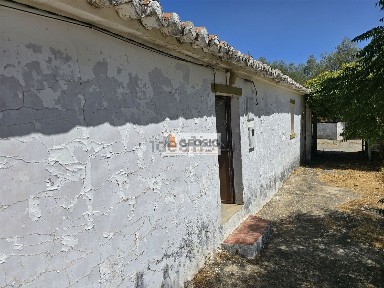 Almodôvar, Beja