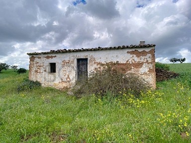 Quinta à venda em Vila Nova de São Bento