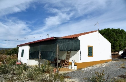 Ferreira do Alentejo, Beja