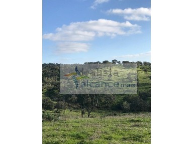 Safara, Estrada Sem Nome