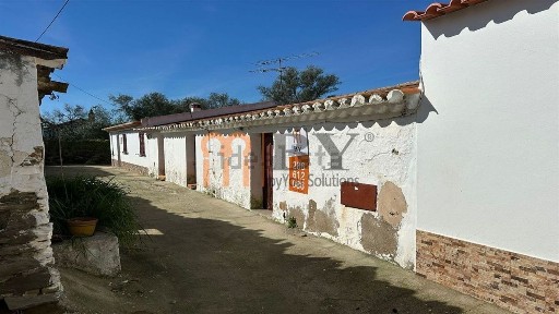 Mértola, Namorados