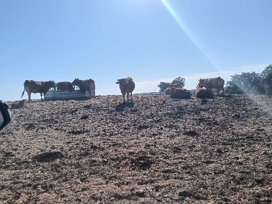 Vila Verde de Ficalho, Serpa, Beja s/n