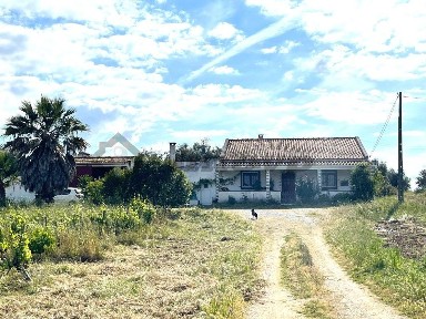 Vidigueira, Beja