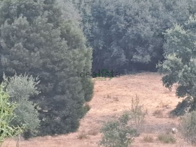 Quinta à venda em Lameiro