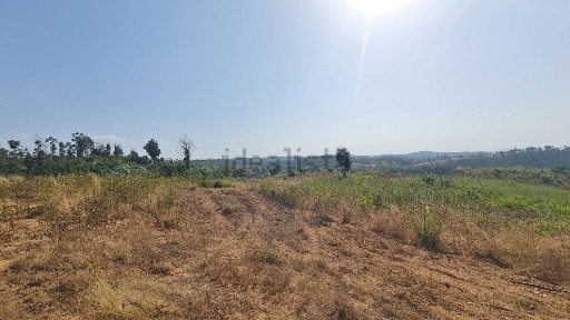 Odemira, Beja