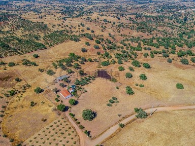 Herdade à venda em Vila Nova de São Bento