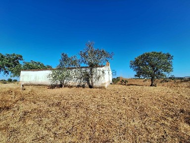 Serpa, Beja