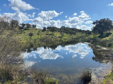 Quinta à venda em Vila Verde de Ficalho