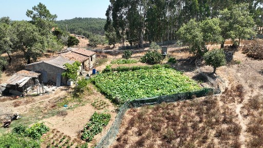 Odemira, Beja