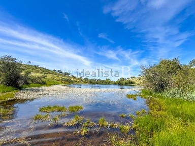 Herdade à venda em Safara