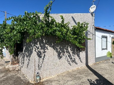 Santa Cruz, Monte João Dias s/n