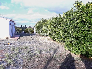 Beja